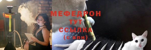 индика Михайловка