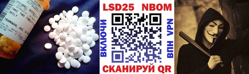 даркнет сайт  Щучье  ЛСД экстази ecstasy 