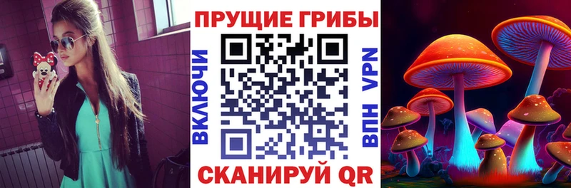 Псилоцибиновые грибы Magic Shrooms  наркотики  OMG как войти  Щучье 